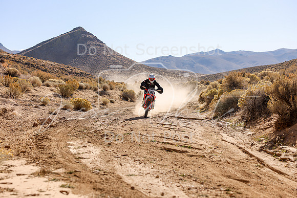 IMG_3380-66t