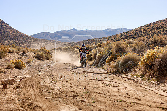 IMG_3527-44s
