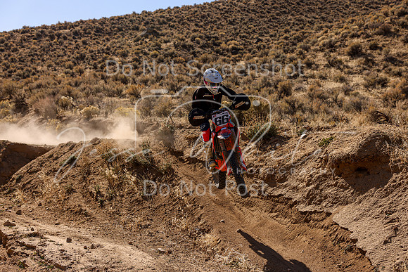 IMG_3601-66t
