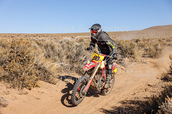 IMG_3808-80t