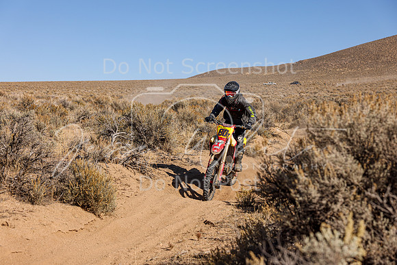 IMG_3804-80t