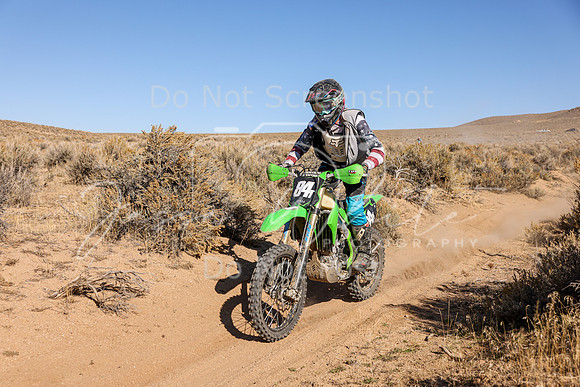 IMG_4119-84t