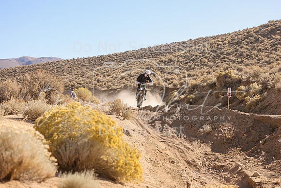 IMG_4337-636n