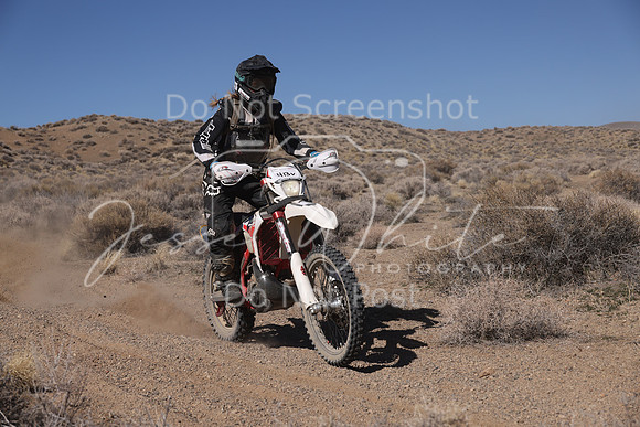 IMG_9300-413v