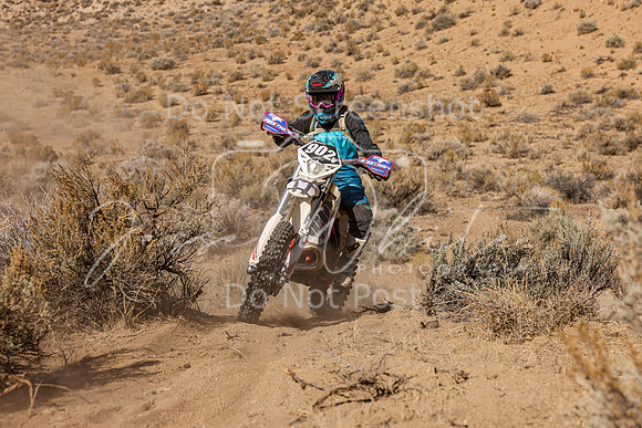 IMG_5868-902v