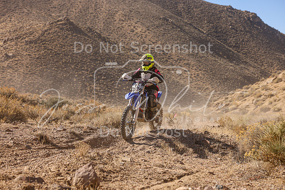IMG_6121-474v