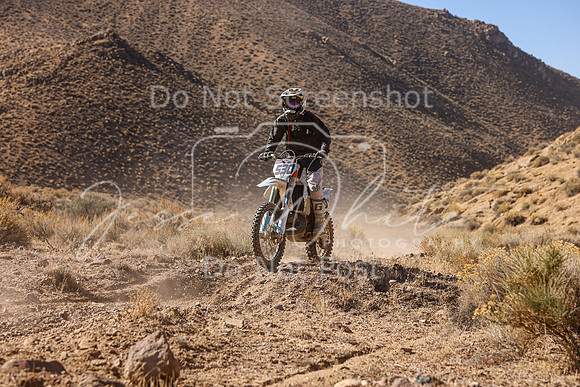 IMG_6101-530v