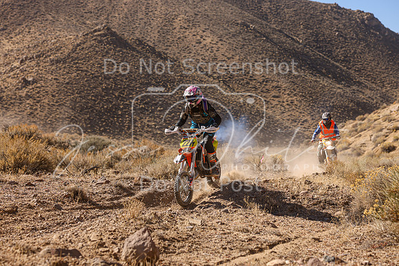 IMG_6113-227v