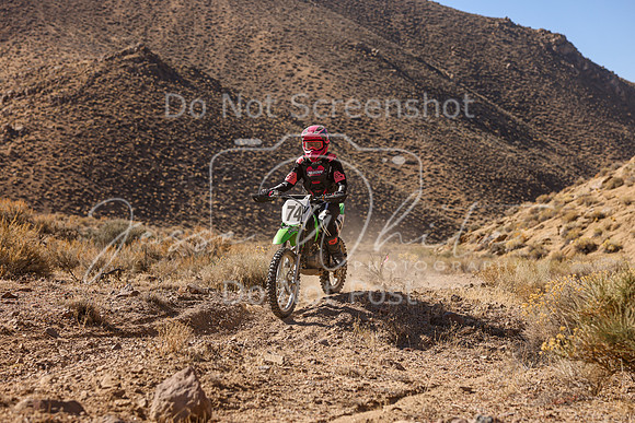 IMG_6146-74v