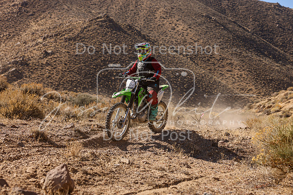 IMG_6171-552v