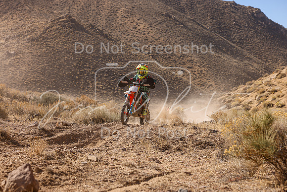 IMG_6236-39y