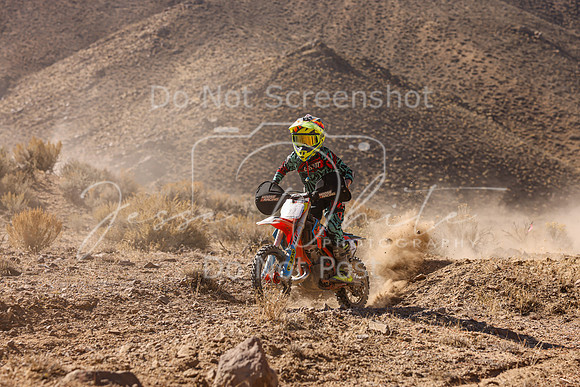 IMG_6240-39y