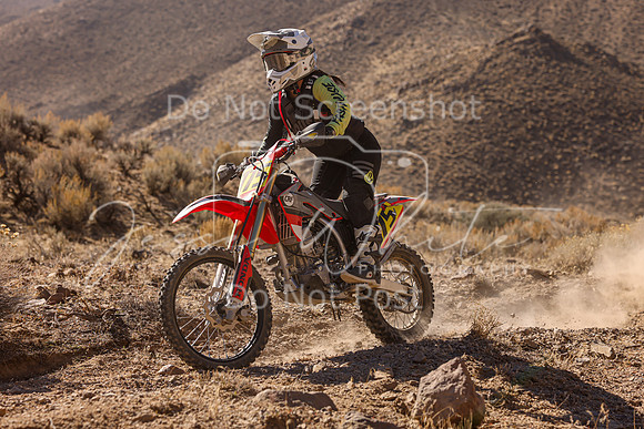 IMG_6298-775v
