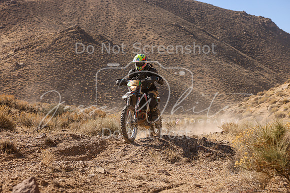 IMG_6313-85v
