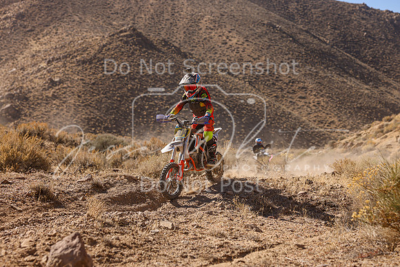IMG_6300-104y