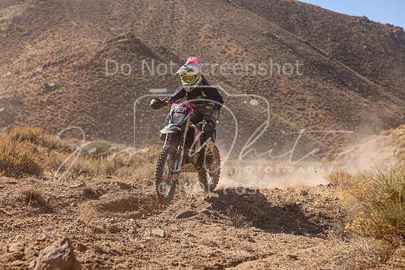 IMG_6336-721v
