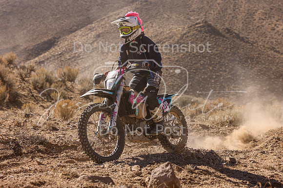 IMG_6339-721v