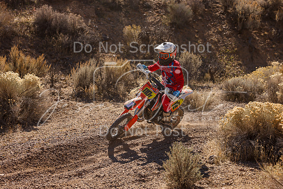 IMG_6388-110y