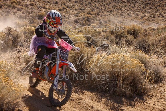 IMG_6425-888y