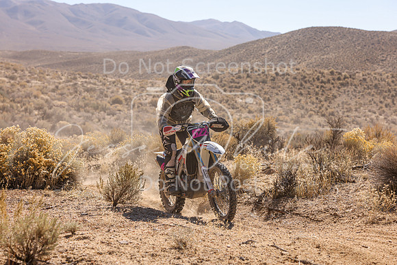 IMG_6545-622v