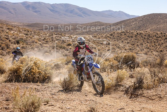 IMG_6552-723v