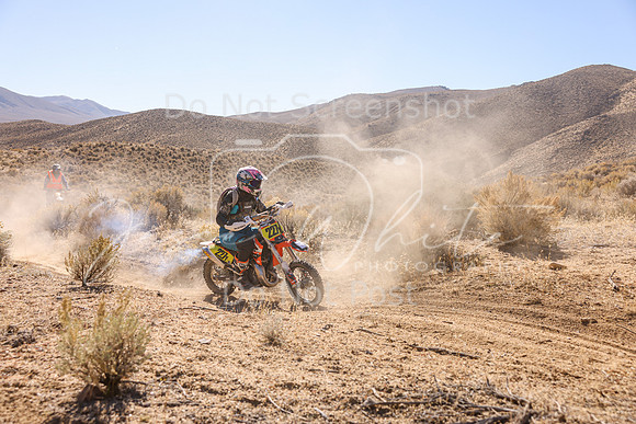 IMG_6594-227y