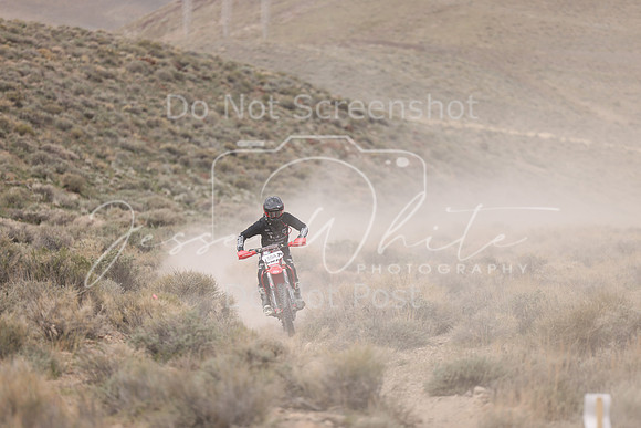IMG_9612-59a