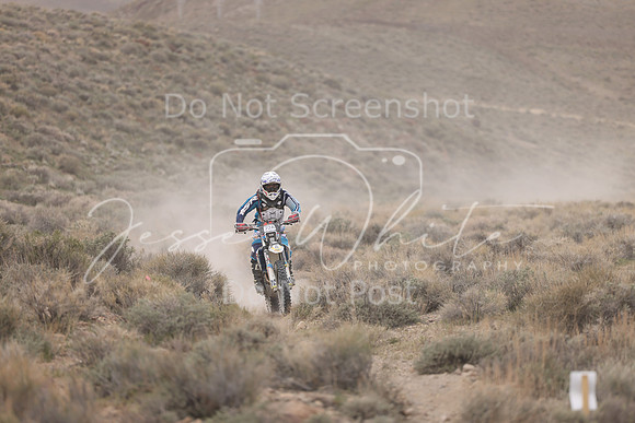 IMG_9530-22a