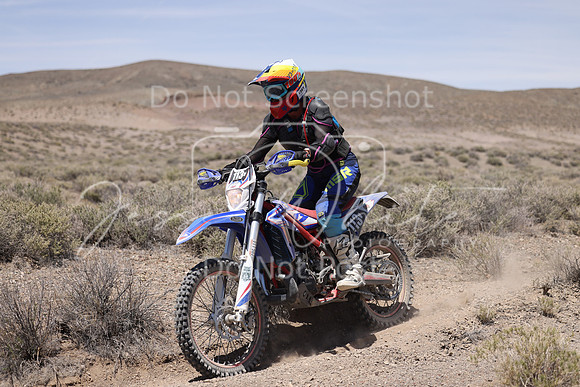 IMG_3489-113v