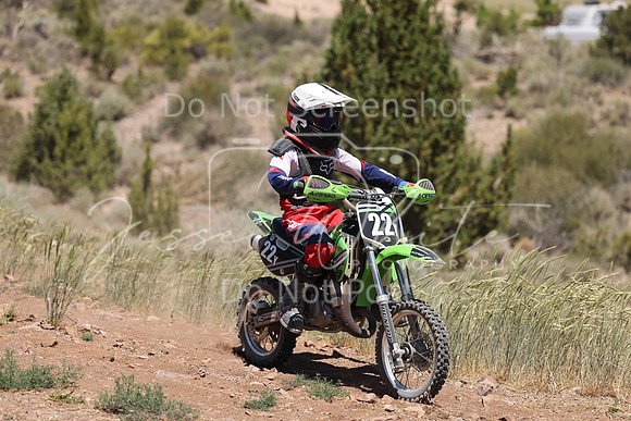 IMG_4471-22y