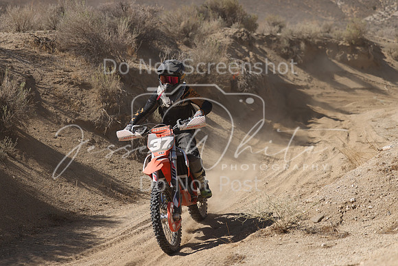 IMG_7020-37j