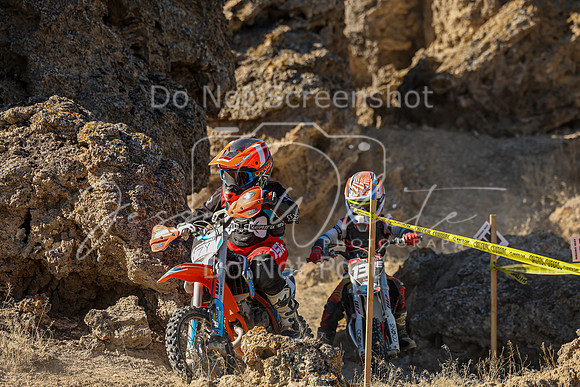 IMG_5481-7y