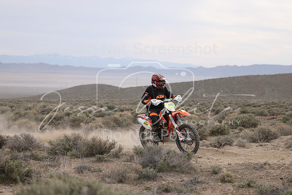 IMG_8136-47b