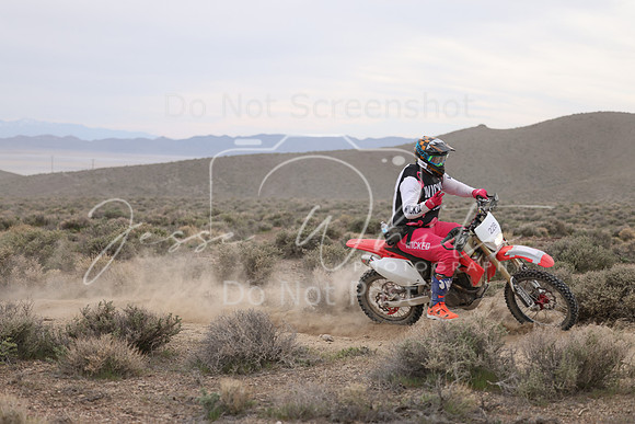 IMG_7892-22b