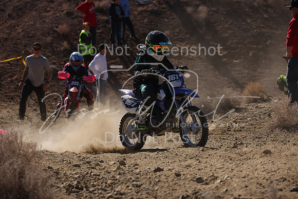 IMG_7623-161-802