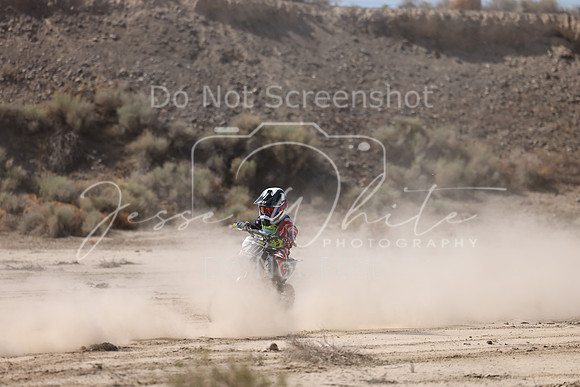 IMG_1968-210z