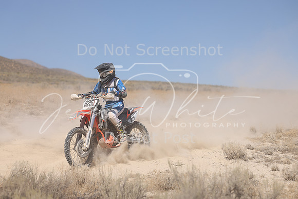 IMG_3890-825v