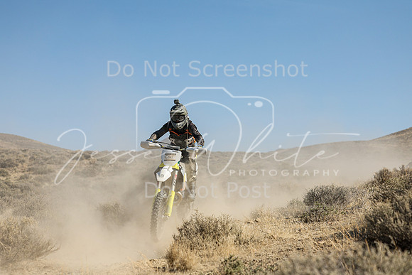 IMG_7449-56n