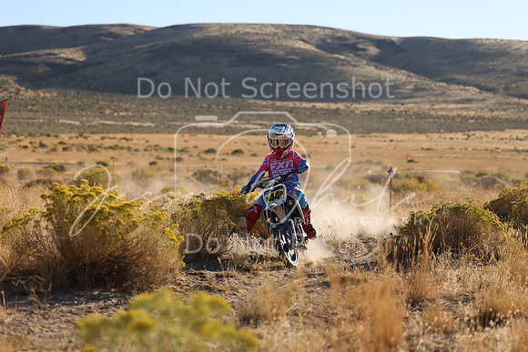 IMG_0225-n44p