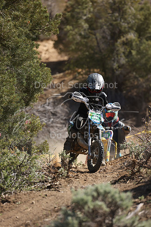 IMG_6231-32