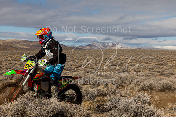 IMG_2168-102w