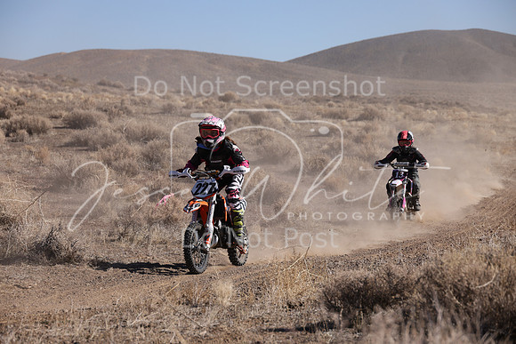 IMG_7313-227y-13y
