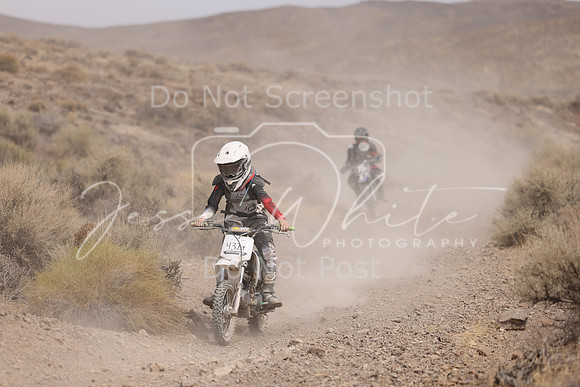 IMG_9228-432y