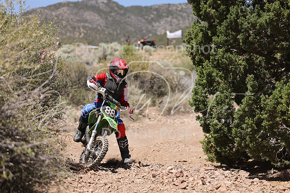 IMG_4303-88y