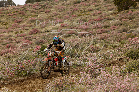 IMG_2367-38