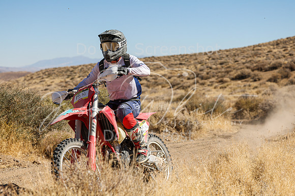 IMG_0498-15n