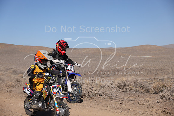 IMG_7388-954z-411y