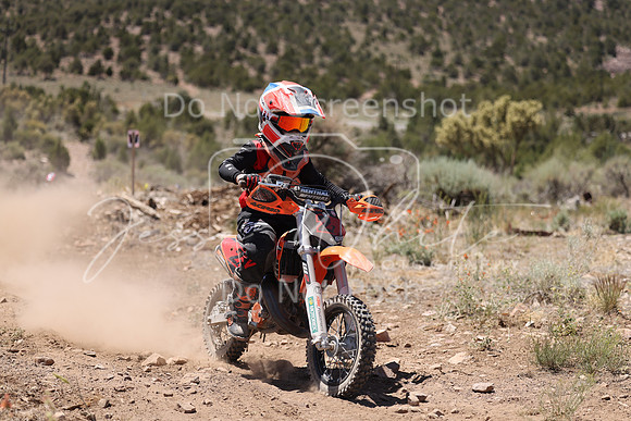 IMG_4240-2z