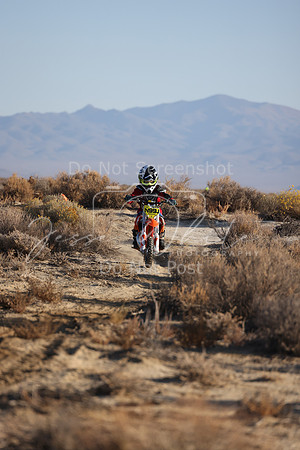 JW_RD521_9442