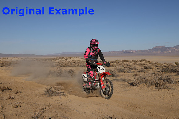 JW_RD5_ED3338.1